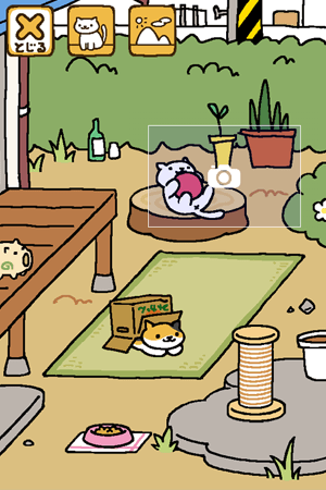 さつえい画面